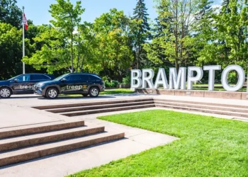 Treepz Powers VIP Travel for Nigerian Delegation to Canada