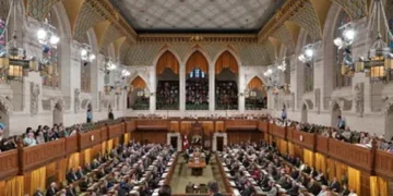 How Canadian and U.S. Government Policies Affect the Growth Trajectory of Black-Owned Startups